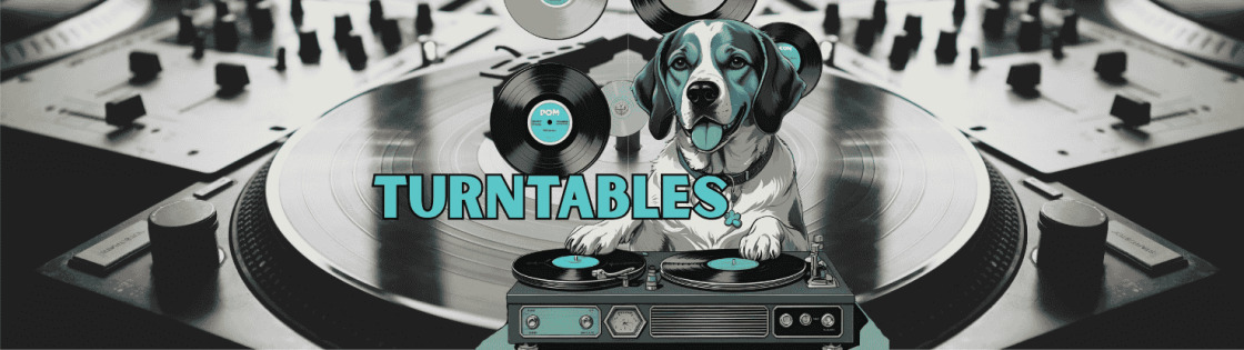  TURNTABLES neue Sendung | alle 2 Wochen an einem Mittwoch 20-22 Uhr