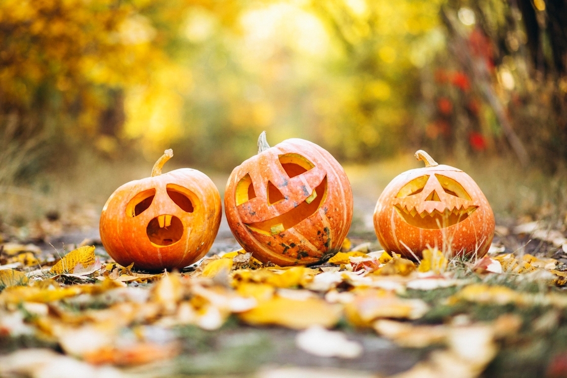 Veranstaltungen im Sachsenland – Ausflugstipps zu Halloween